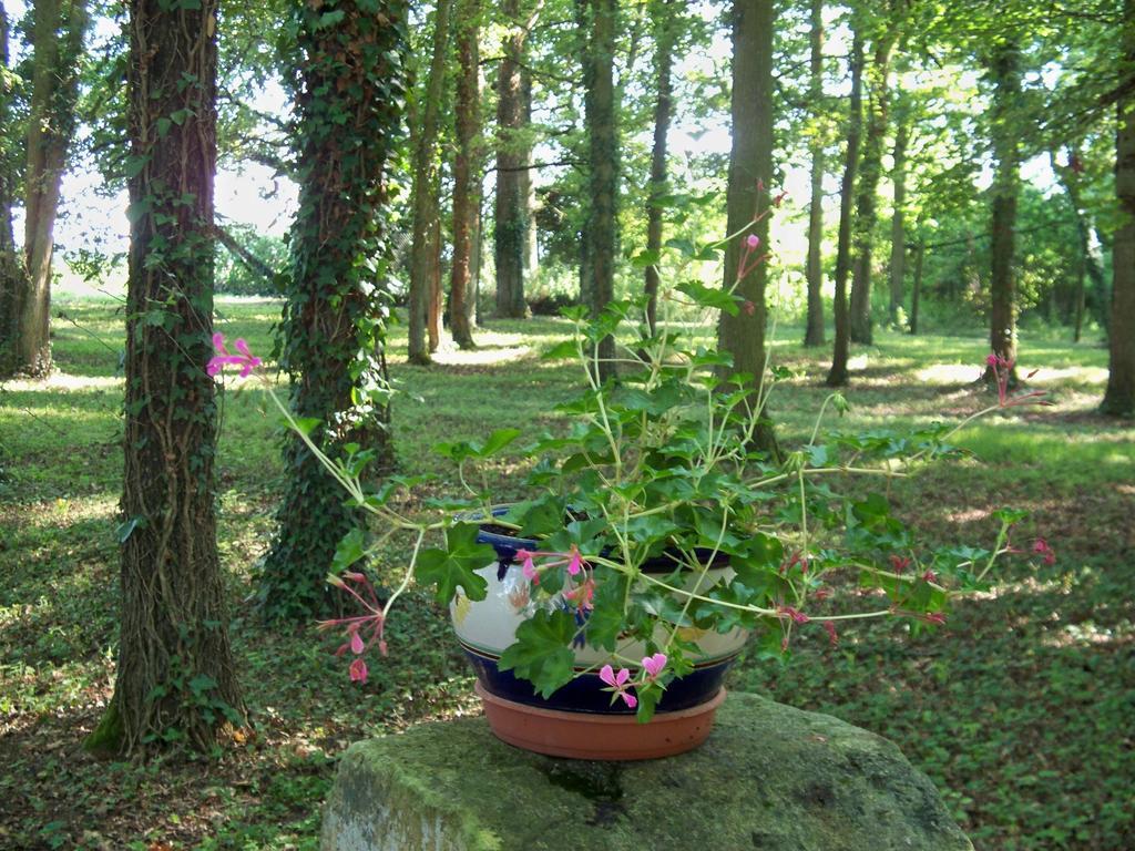 Bed and Breakfast Le Pre Karvain Couddes Exteriér fotografie